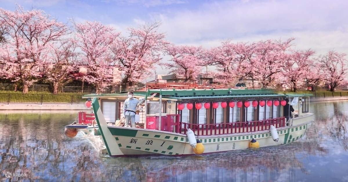 🚢 도쿄만 야카타부네 (후나세이) 이미지 9